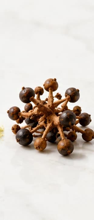 Japanese raisin tree illustration